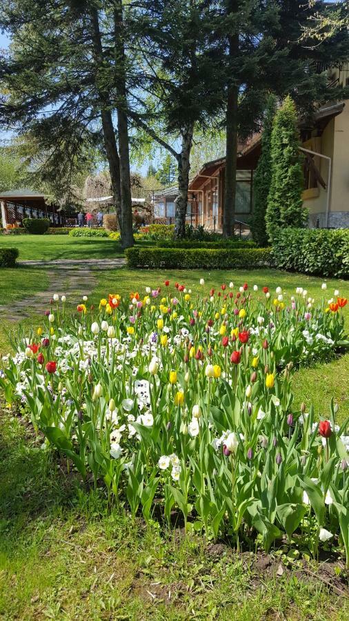 Family Hotel Residence Dobritch Extérieur photo